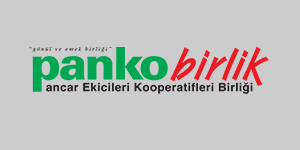 Brand Logo 17